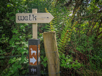 Waterfall_Farm-8827