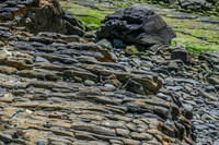 Ireland-4471