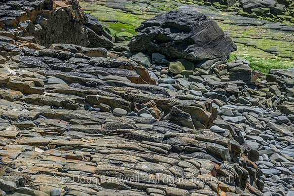 Ireland-4471