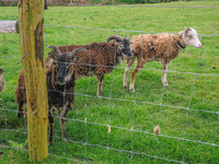 Waterfall_Farm-8842