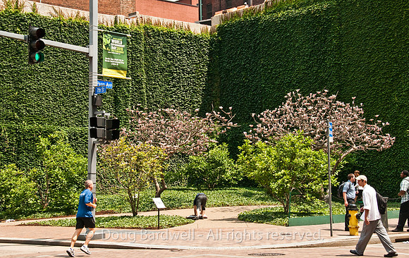 100604_3CS2992