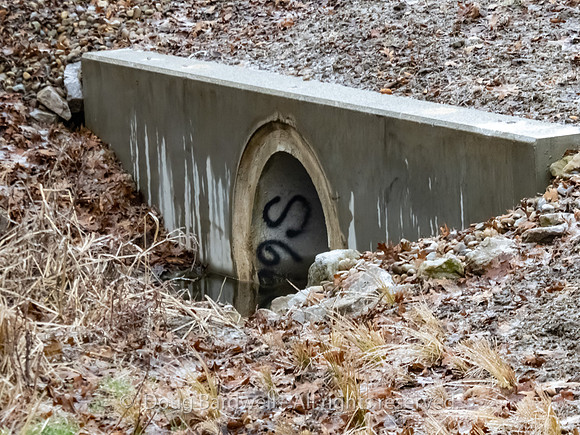 200206-P1013197