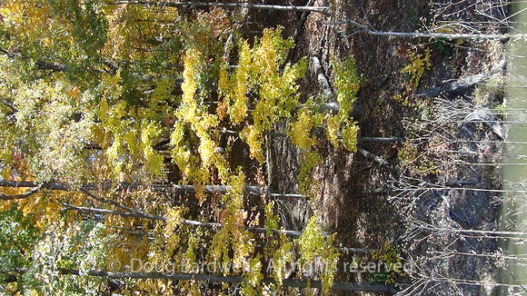 121016DSC00192