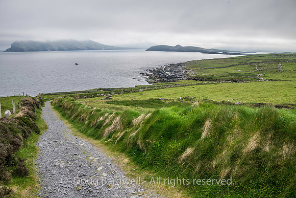 Ireland-4922