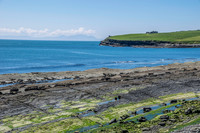 Ireland-4476