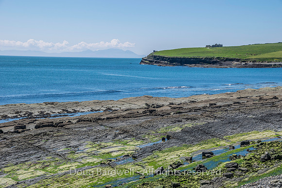 Ireland-4476