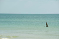 100920_3CS0671