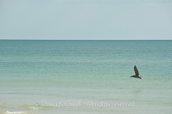 100920_3CS0671