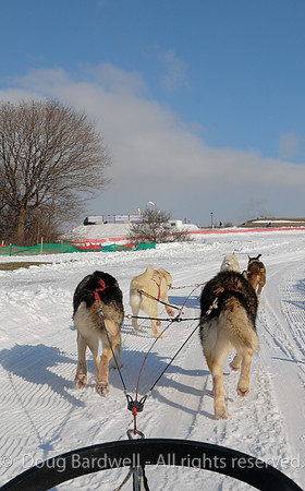 Quebec_Winter_Carnival-8310