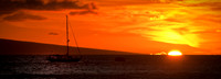 Bardwell_D_1600_100824_3CS2852-Edit