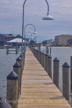 Cape Water Taxi-8710