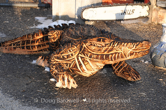 Chainsaw-Carvers-1060