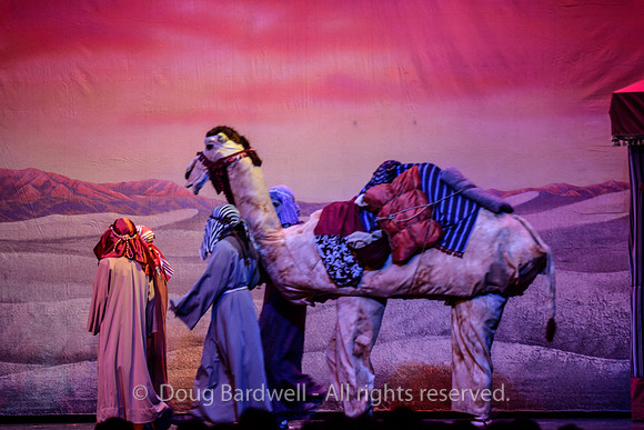 Joseph-0136