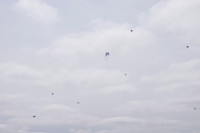 Kite-7322