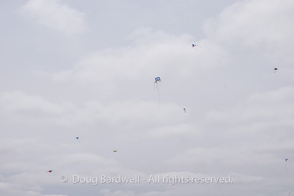 Kite-7322