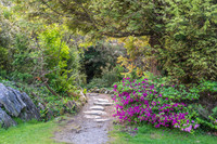 Ireland-5537