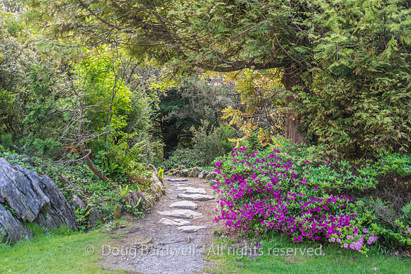 Ireland-5537