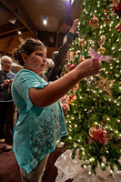 101205_3CS8258_PSHP