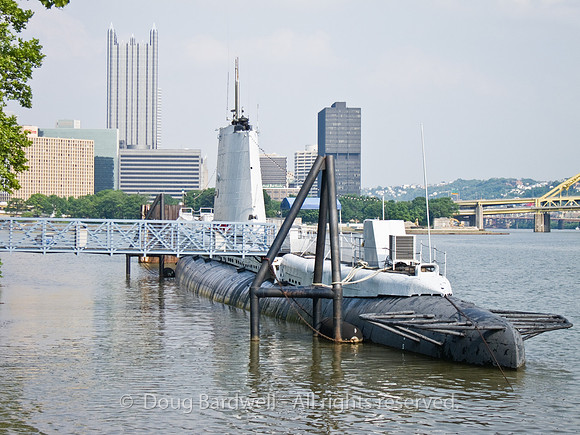 100602IMG_2353