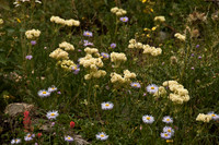 100807_3CS1439
