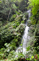 110207DSC_0819