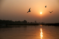 Nal Sarovar-9002