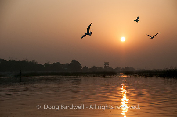 Nal Sarovar-9002