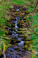 31-Great_Allegheny_Passage