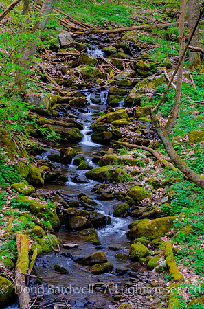 31-Great_Allegheny_Passage