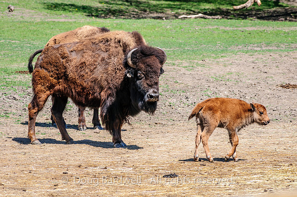 Sioux-Falls-0689