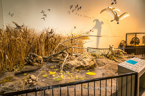 Sioux-Falls-4678