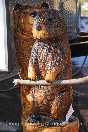 Chainsaw-Carvers-1012
