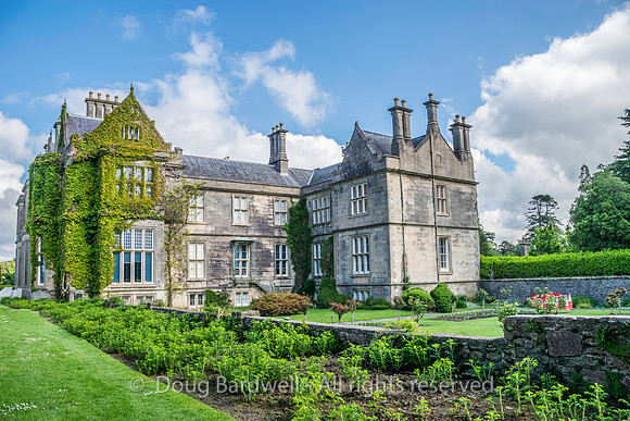 Ireland-5532