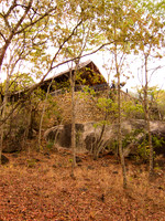 111015IMG_0145