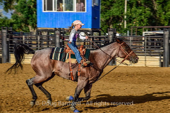 Sheridan-Rodeo-1831
