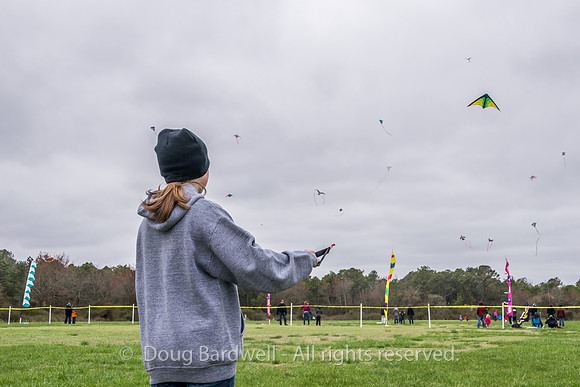 Kite-7135