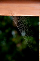 110730_DSC0061