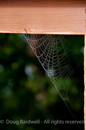 110730_DSC0061