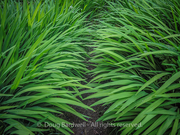 Waterfall_Farm-8894
