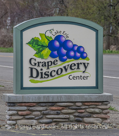 Grape_Discovery_Center-9471