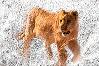 Lion - Pencil with painted mask