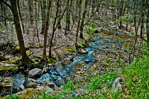 Butler_County-212