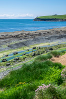 Ireland-4470