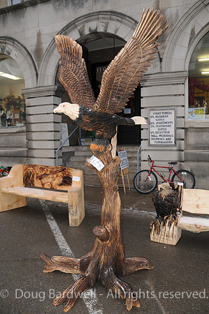 Chainsaw-Carvers-1009