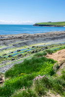 Ireland-4469
