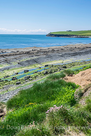 Ireland-4469