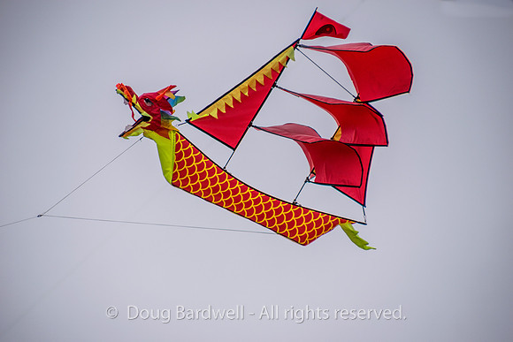 Kite-7014