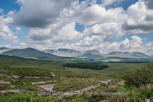 Ireland-5179
