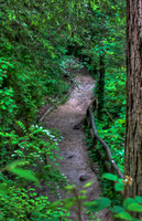 NaturalBridge-118