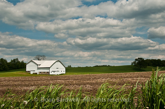 100515_3CS0415